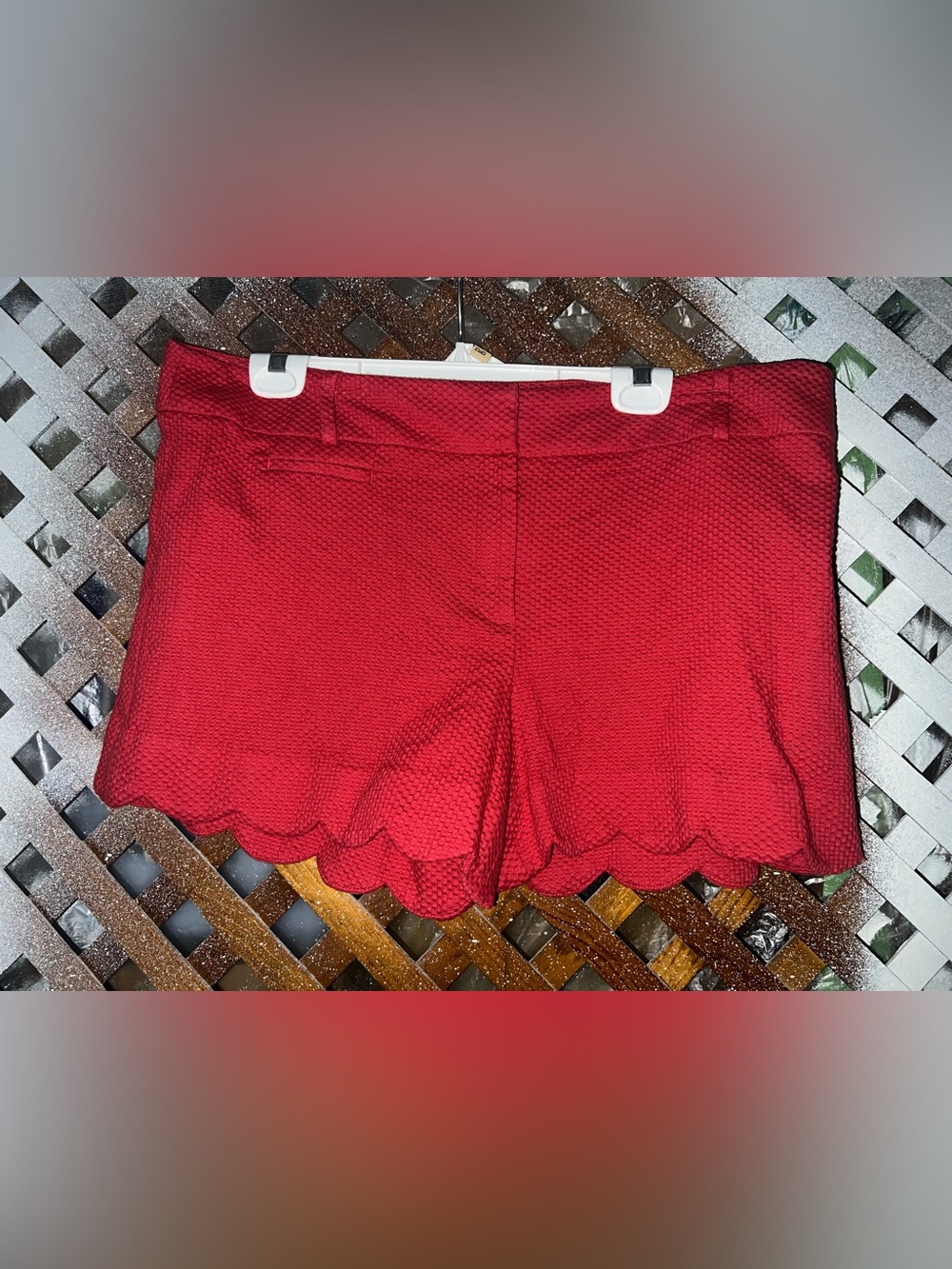 LOFT Red Scallop-Hem High-Waist Women's Shorts size 14